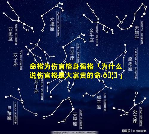 命格为伤官格身强格「为什么说伤官格是大富贵的命 🦄 」